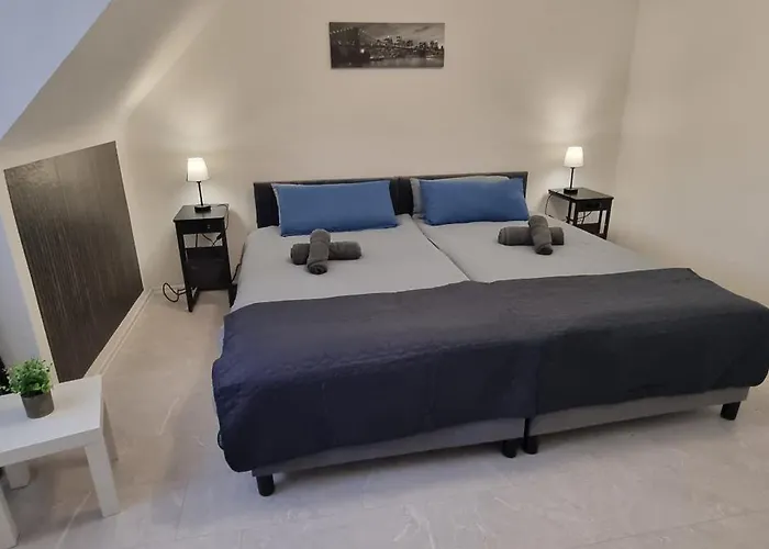 Dg-wohnung In Direkter Naehe Des Sg Hbf Lejlighed *